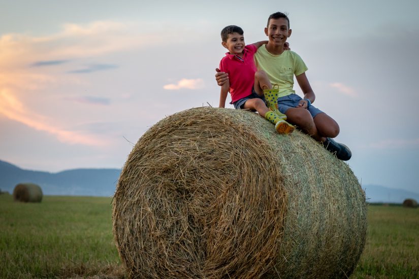 fratii – suflete pereche